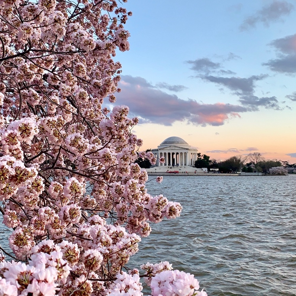 Meet your Posher, Analisa